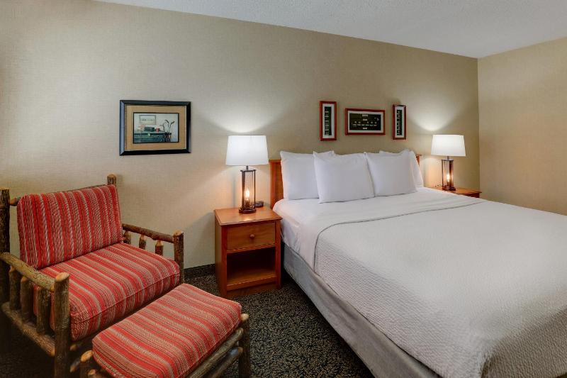 Deluxe King Room image 4