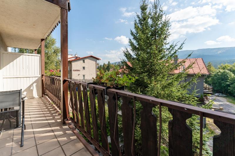 Willa Sonata - Apartamenty & Balia - Szklarska Poręba - image 41