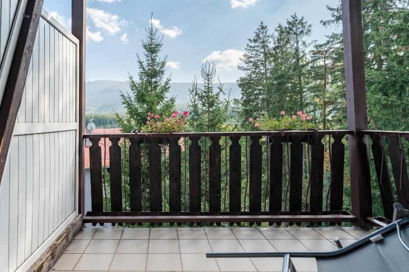 Willa Sonata - Apartamenty & Balia - Szklarska Poręba - image 27