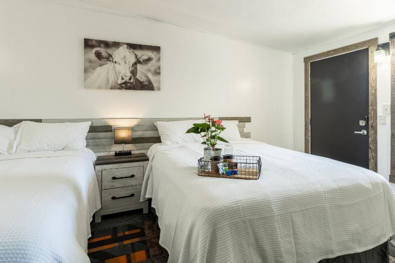 Double Room image 3