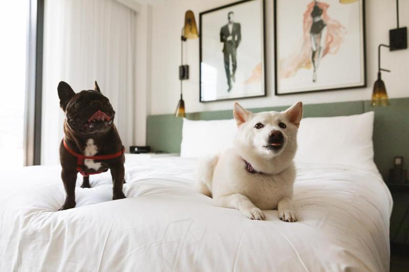 The Godfrey Hotel Hollywood - image 11