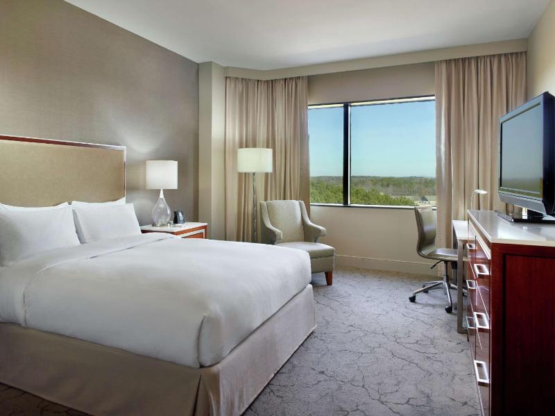 Deluxe King Room image 1