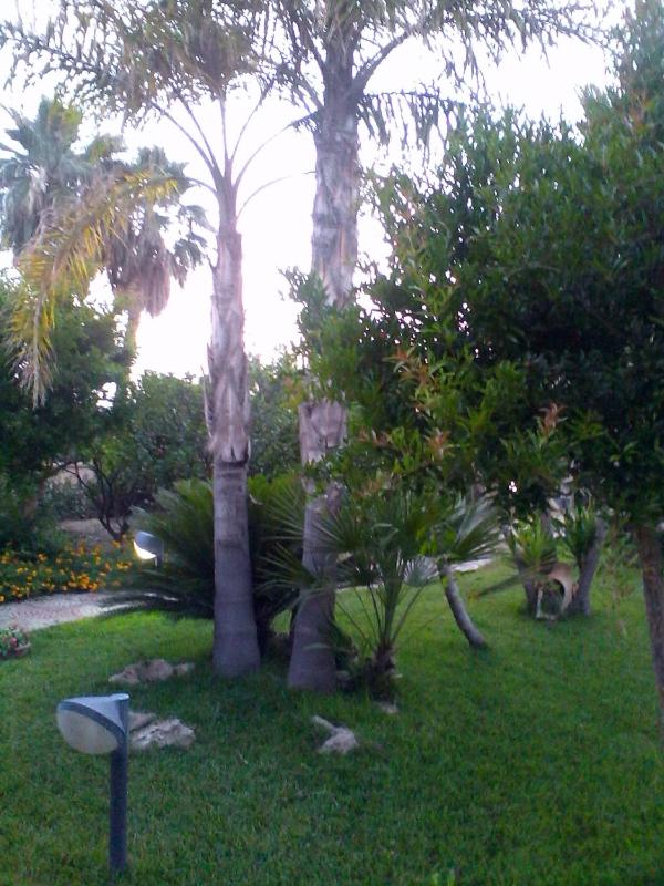 B&B Villa Luisa Apartment - image 15