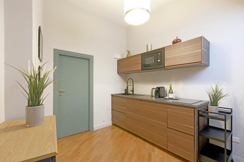 One-Bedroom Apartment image 3