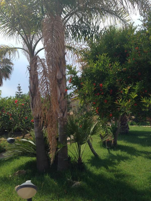 B&B Villa Luisa Apartment - image 17
