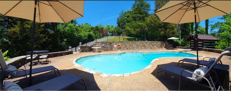 Haleywood Private 125 acres on Lake Douglas with 2 cabins Seasonal Pool Boat Dock Free Ticket! - image 42