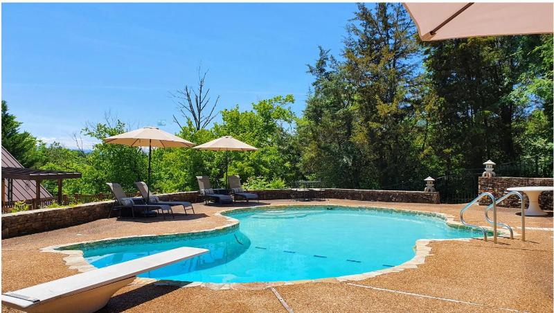 Haleywood Private 125 acres on Lake Douglas with 2 cabins Seasonal Pool Boat Dock Free Ticket! - image 30