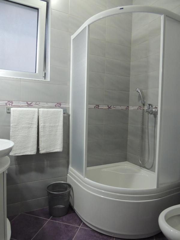 One-Bedroom Apartment image 2