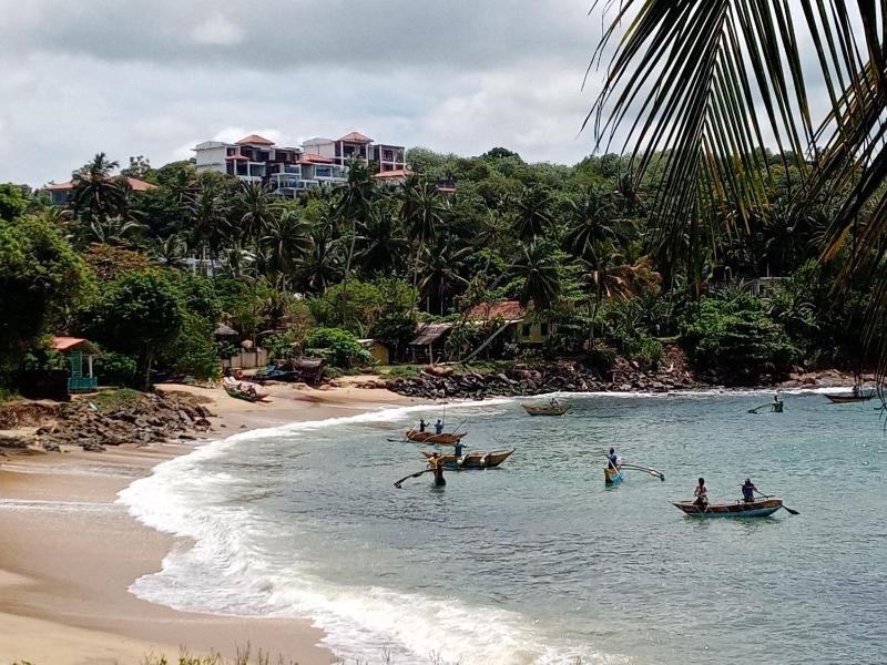 Surf Paradise 2 - image 47