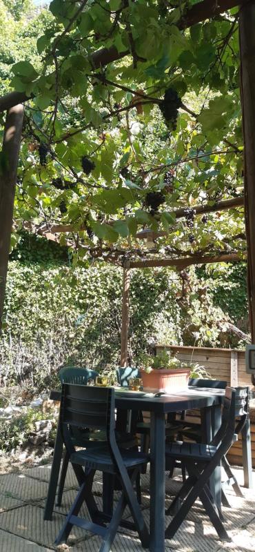 Nicolas House Images