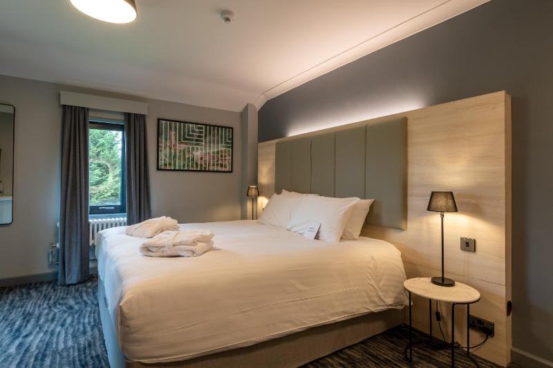 Deluxe Double Room image 4