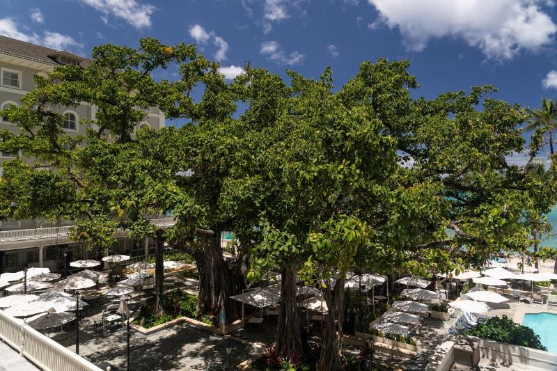 Historic Banyan Deluxe, Larger Guest room, 2 Double image 3
