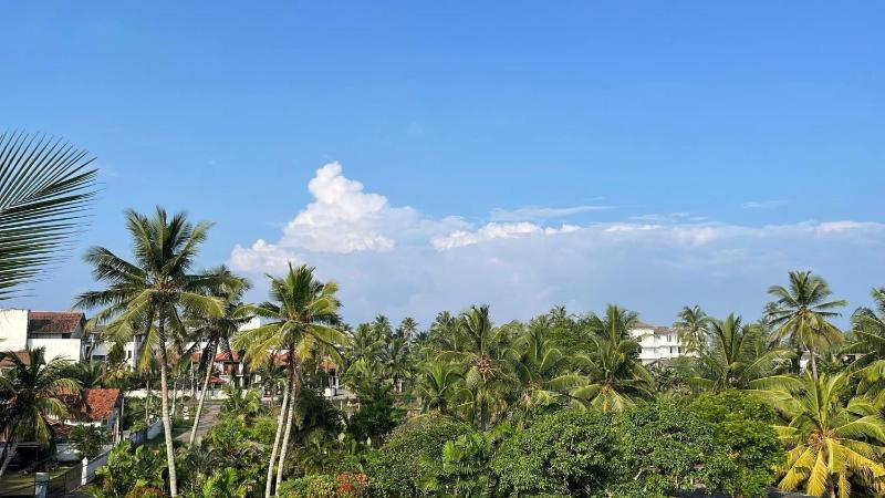 Beach Club Apartments - image 29