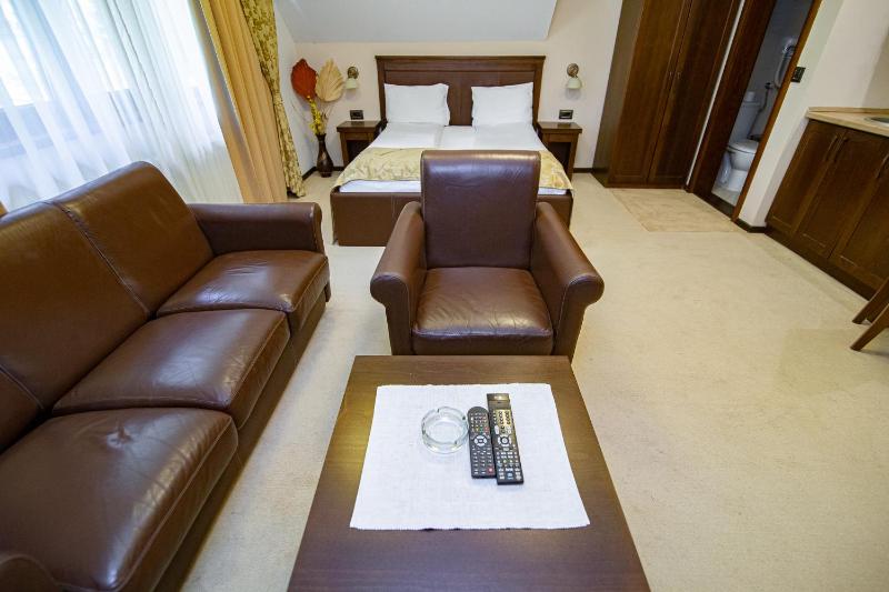 Superior Studio Apartment image 2