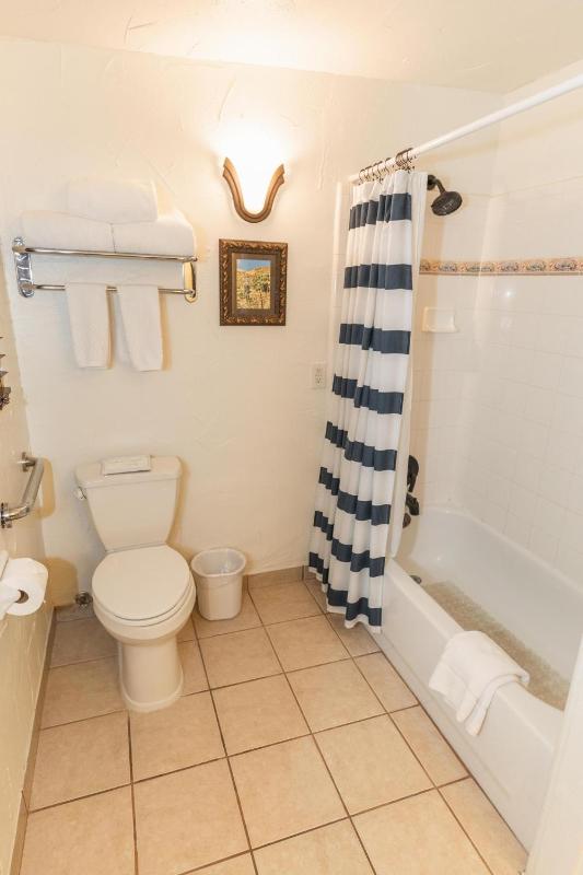Deluxe King Suite image 2
