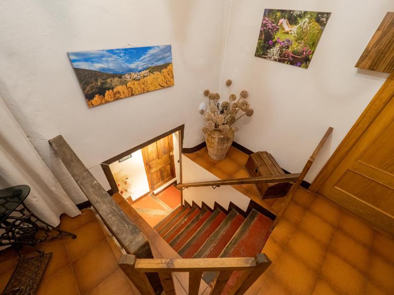 One-Bedroom Apartment image 2