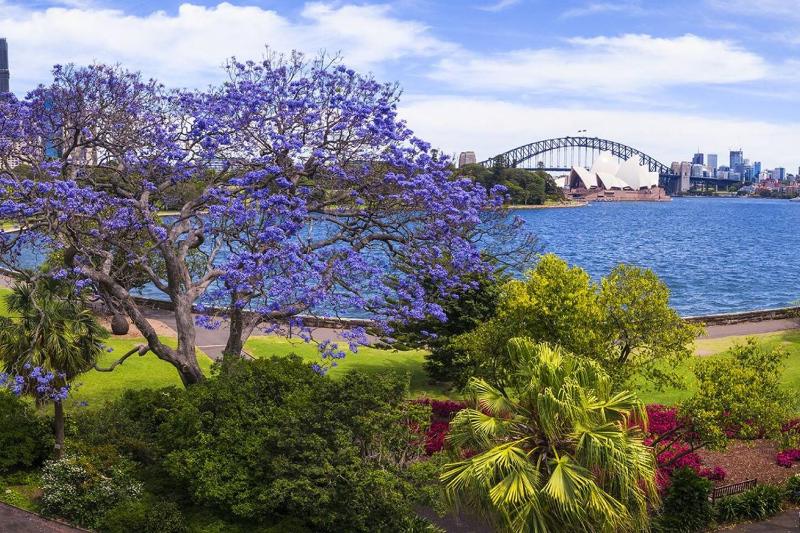 Best Sydney Views from Potts Point with Rooftop Pool - image 8