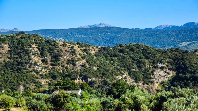 One-Bedroom House with Private Pool image 4