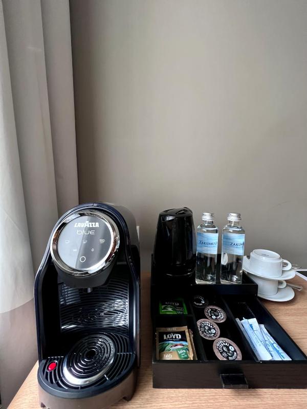 Premium Double Room image 4