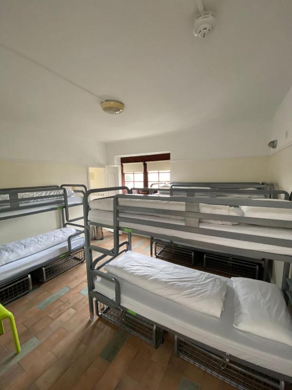 Gogartys Temple Bar Hostel - image 8