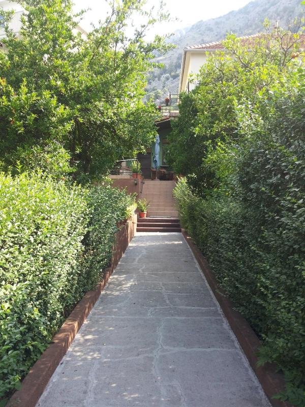 Apartments Sandra - image 10