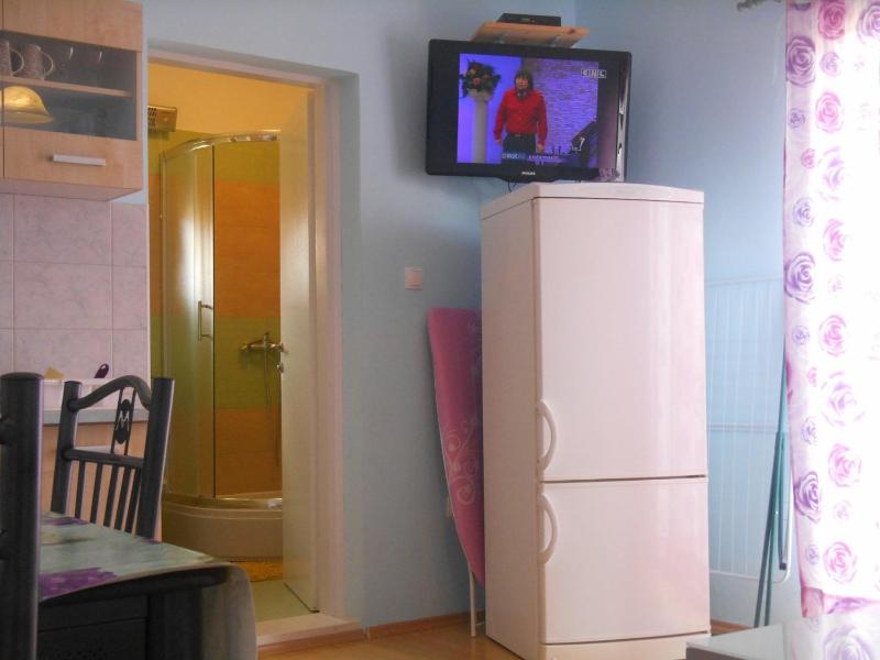 One-Bedroom Apartment image 3