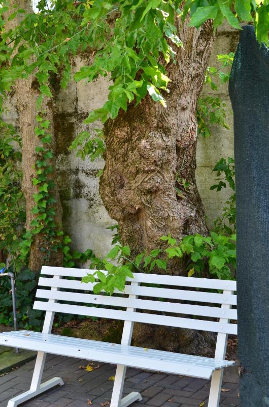 Hotel Casa Mia - image 24