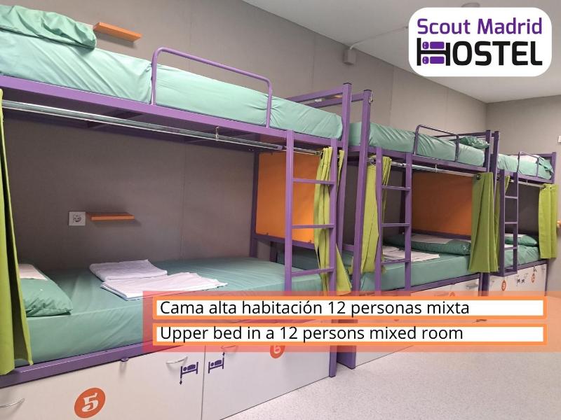 Bed in 12-Bed Mixed Dormitory Room with Shared Bathroom image 1