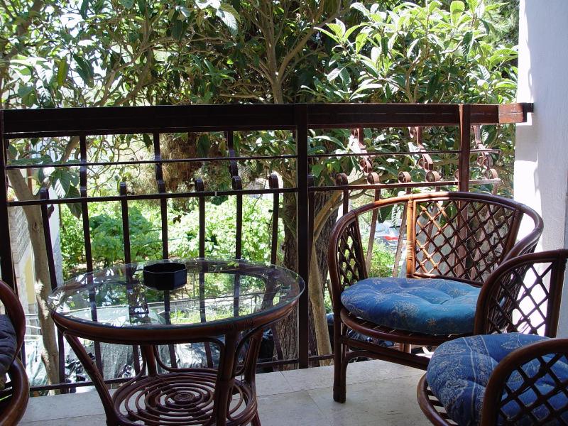 One-Bedroom Apartment with Balcony image 4