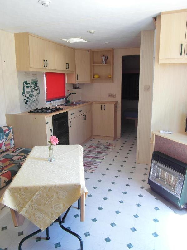 Mobile Home with View image 4