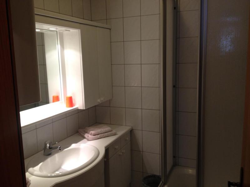 One-Bedroom Apartment with Balcony and Lake View image 3