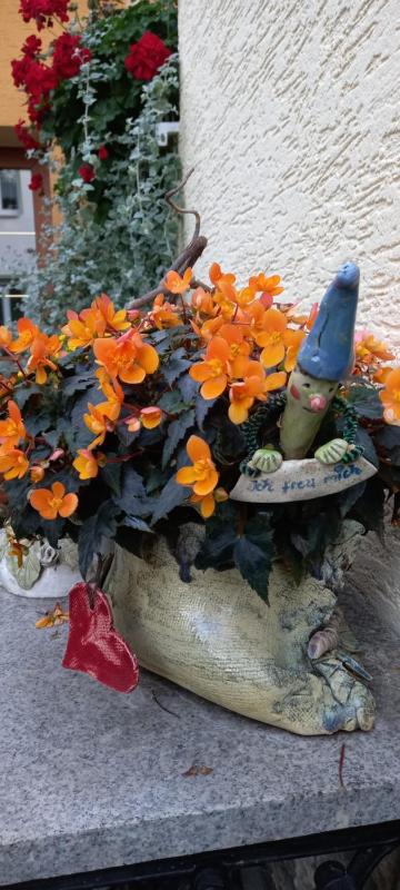 Pension Füg - image 3