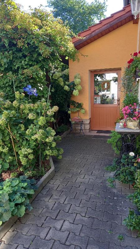 Pension Füg - image 11