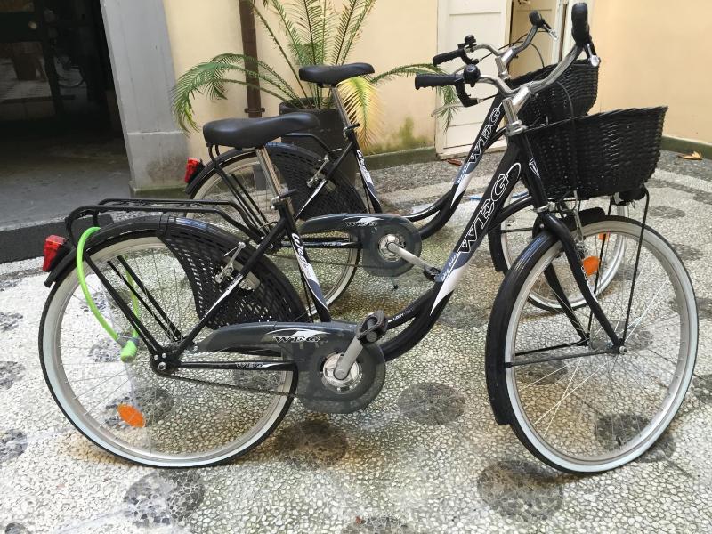 One-Bedroom Apartment image 2