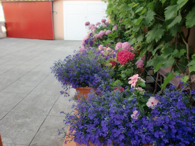 Apartments Bene - image 32