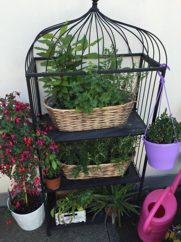 Studio with a Terrace View image 3