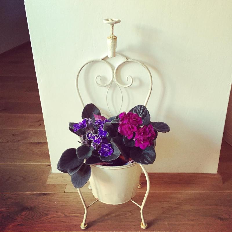 Superior Studio image 4