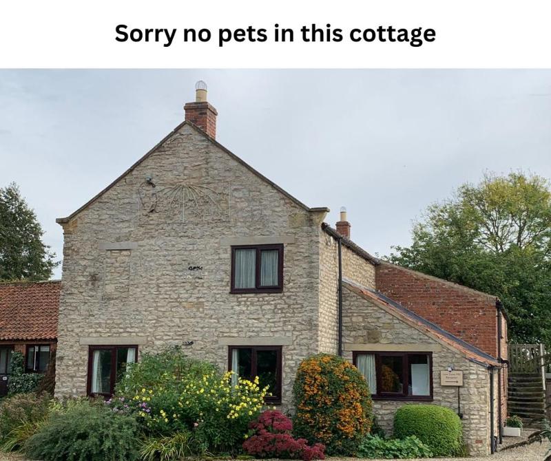 Three-Bedroom House image 1