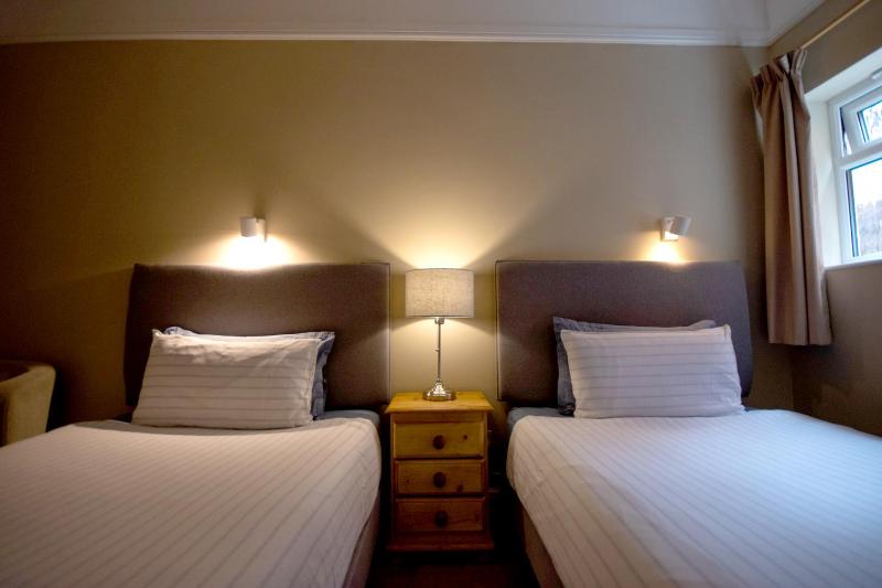 Deluxe Twin Room image 2