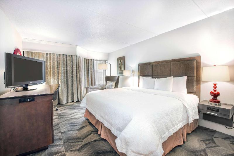 Hampton Inn & Suites Atlanta-Galleria - image 22