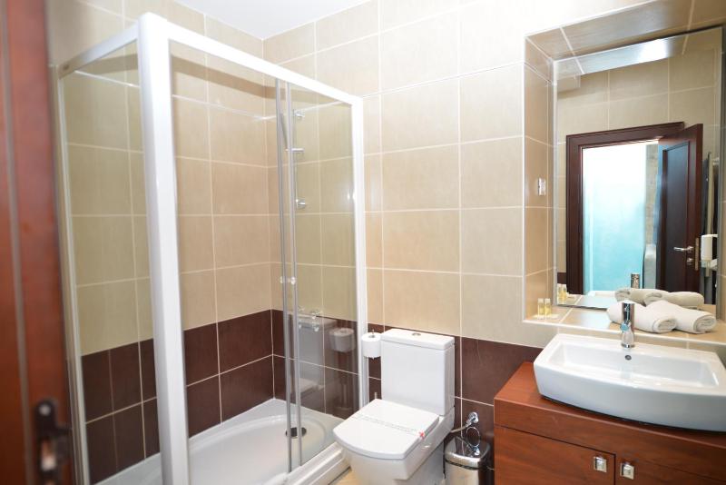 Deluxe One-Bedroom Apartment image 3