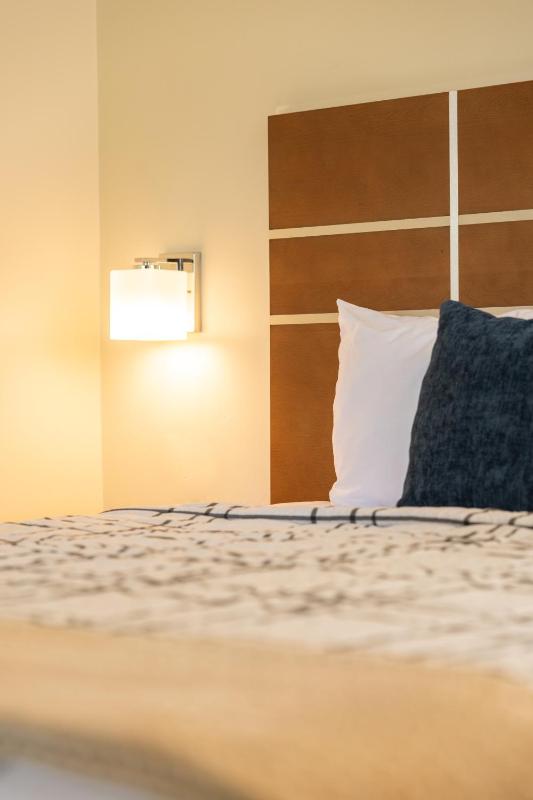  Deluxe King Room Poolside  image 2
