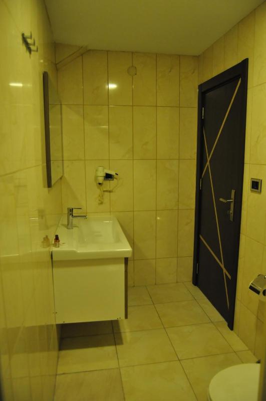 Double or Twin Room image 4
