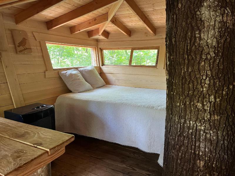Family Tree House with Terrace (6 Persons) image 3