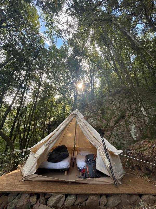Tent image 1