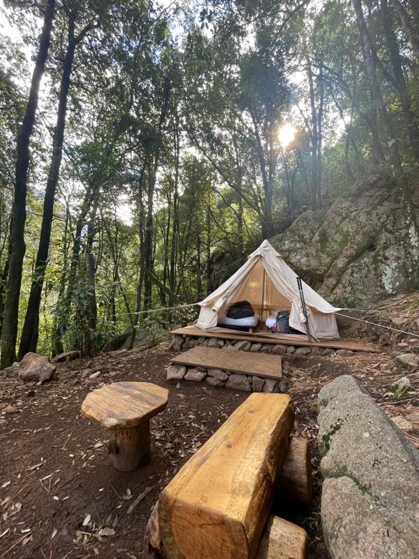 Tent image 2