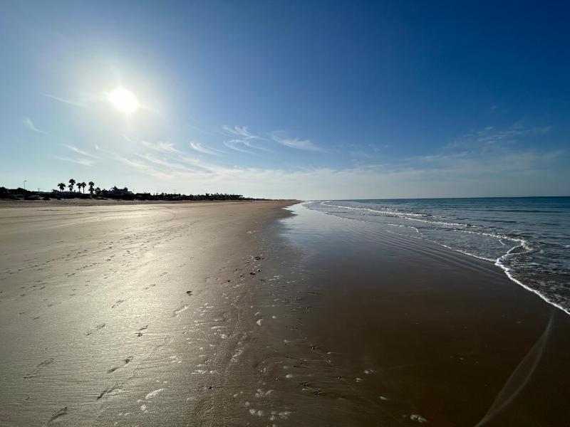 OHANA palmar - image 14