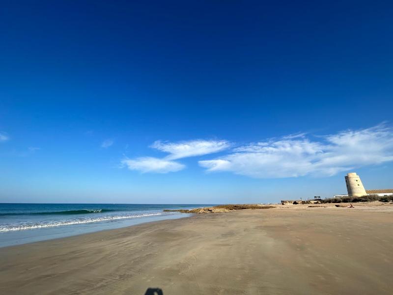 OHANA palmar - image 15