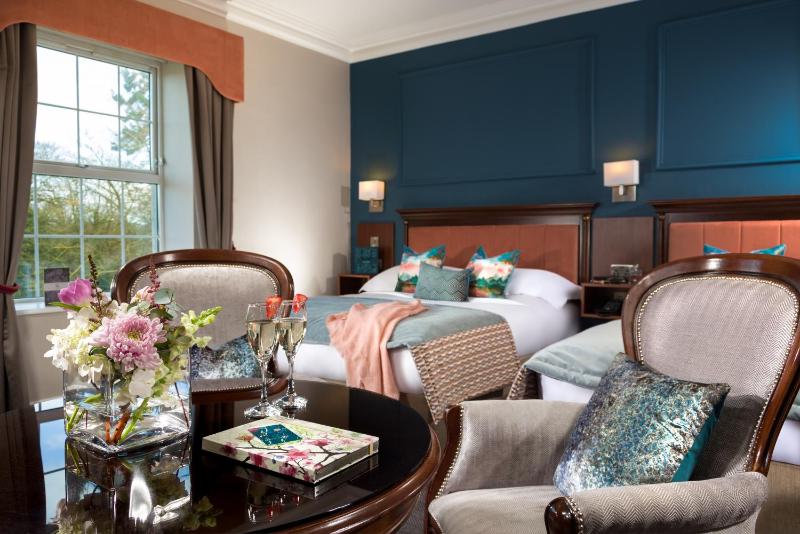 Double or Twin Room image 1