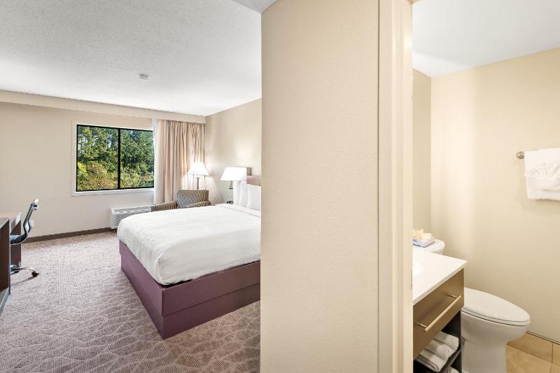 Deluxe King Room image 3